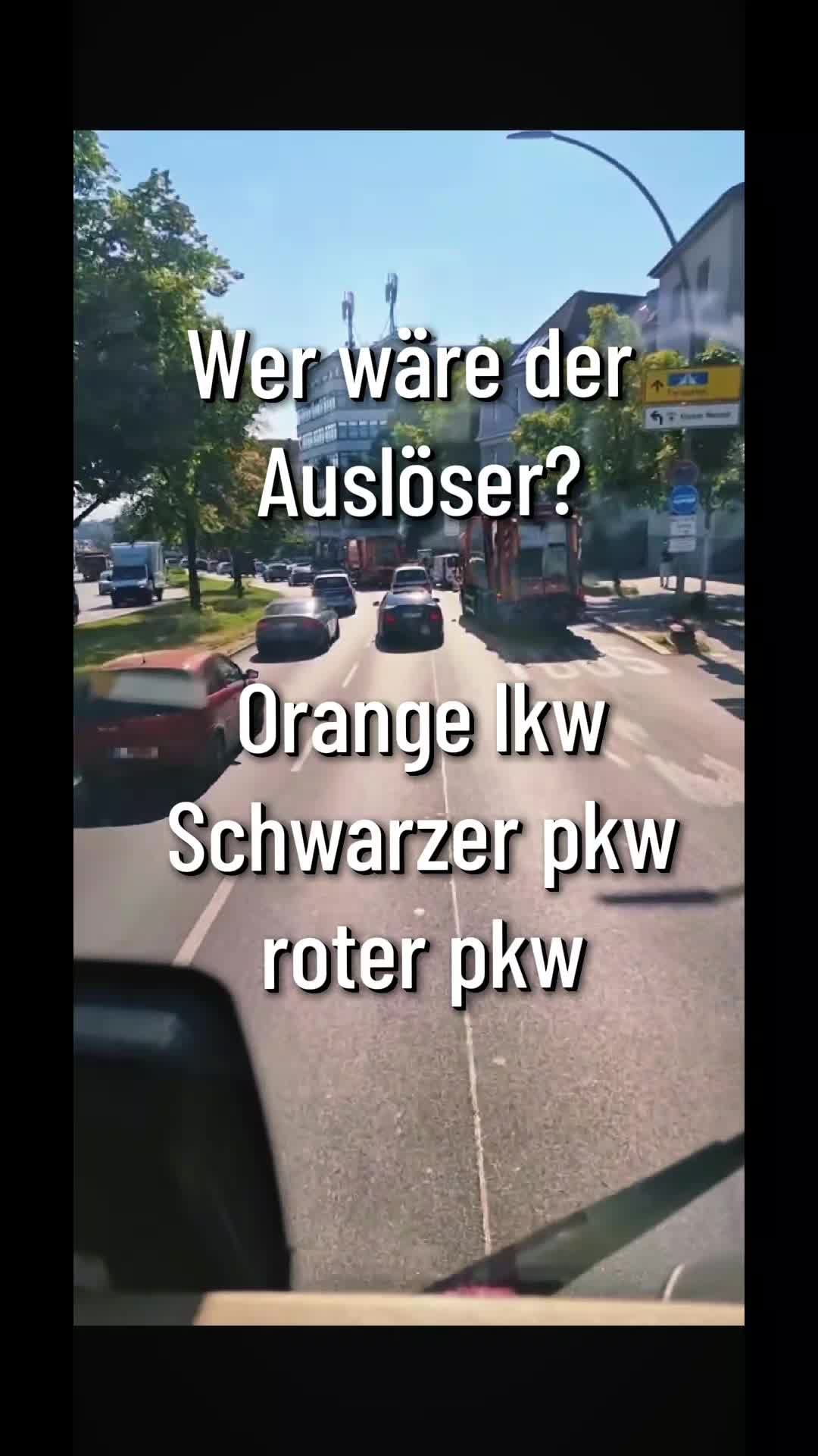 @Lkw Fahrlehrer Sino