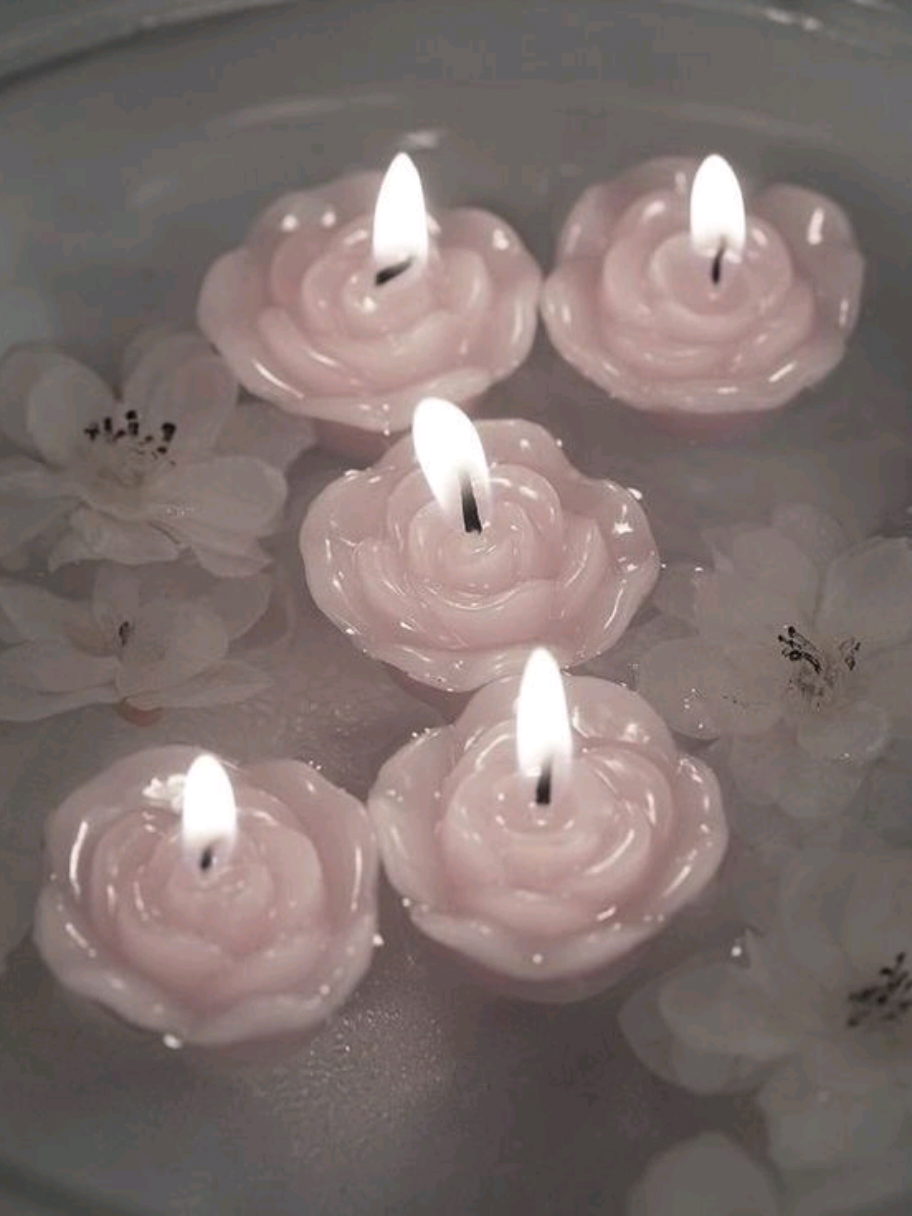 @𝓓upson^᪲᪲᪲