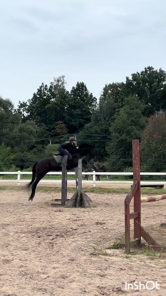 @💋🐴