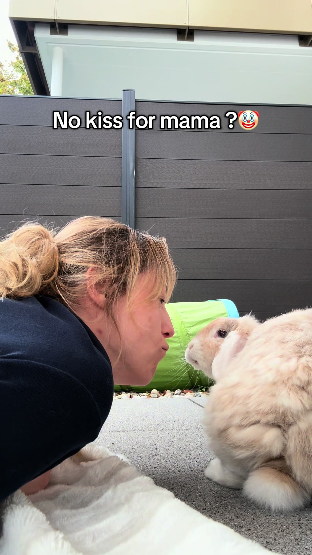@Buns 🐰🐰