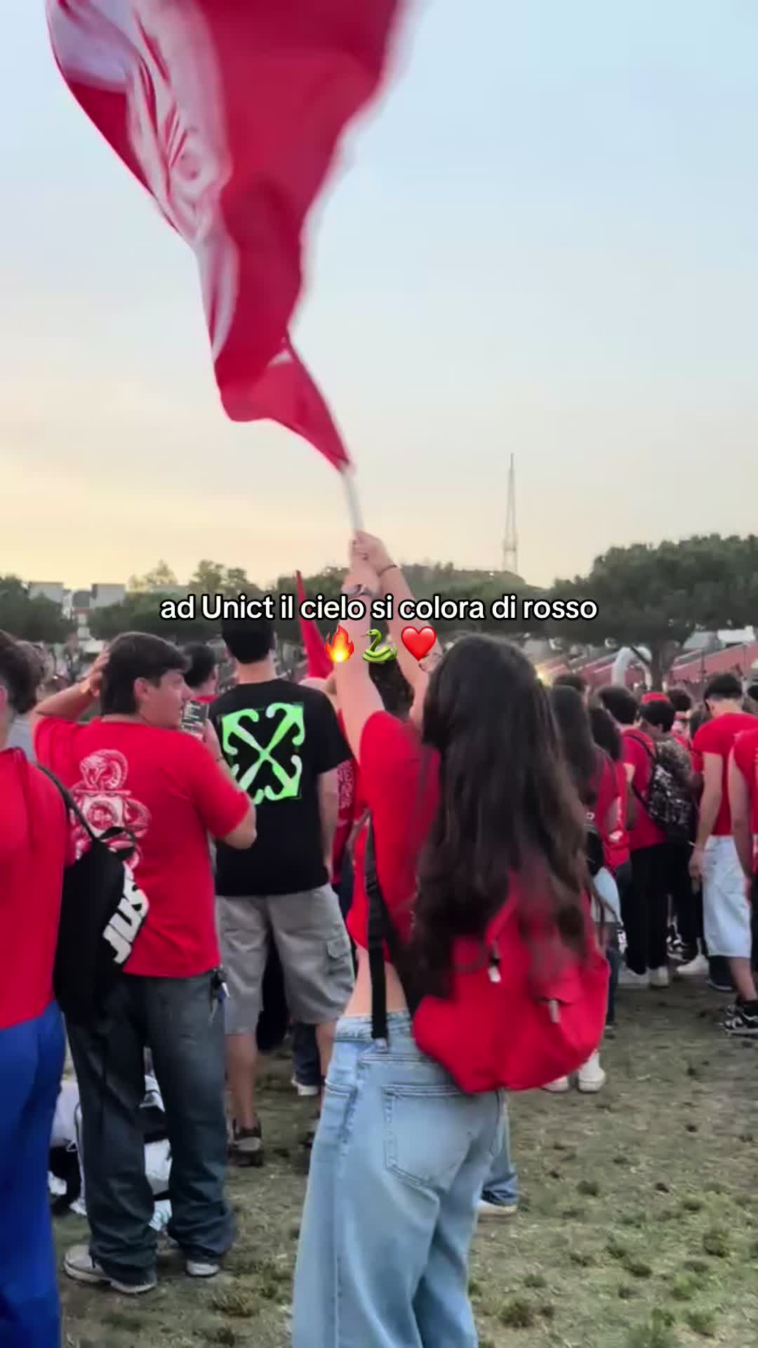 @Simona Ventura