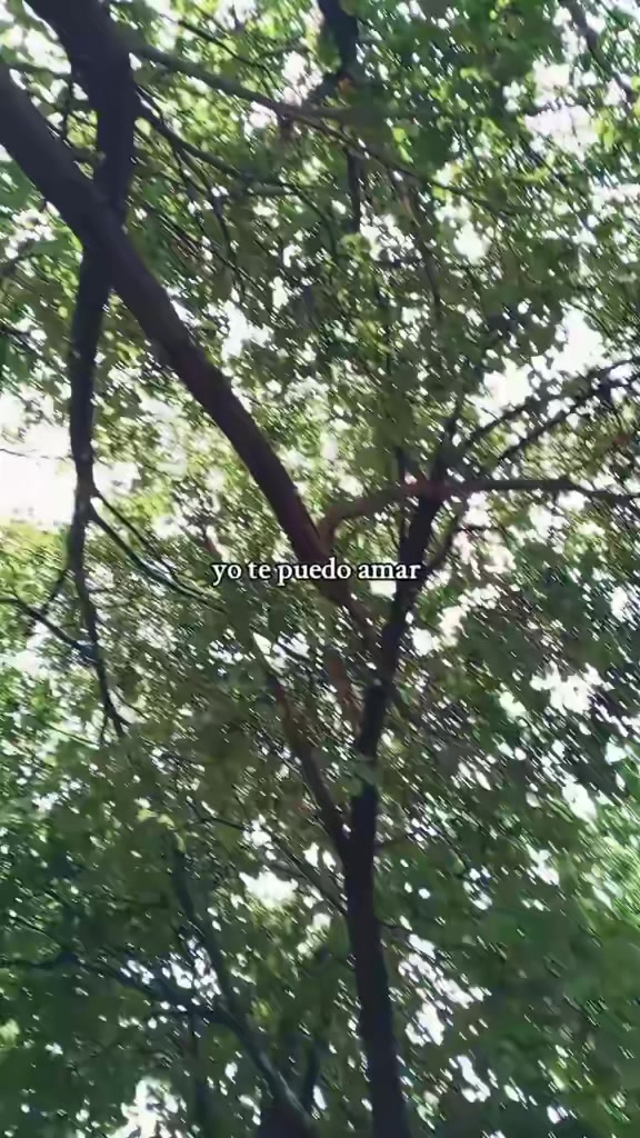 @𝕸𝖎𝖗𝖆𝖓𝖉𝖆🪬🧿🍀💸