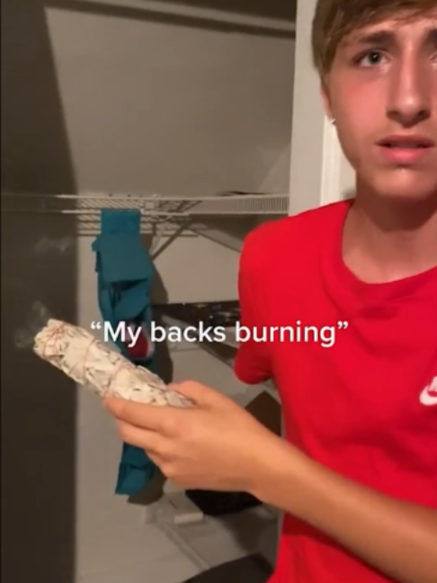 @Slapped Ham