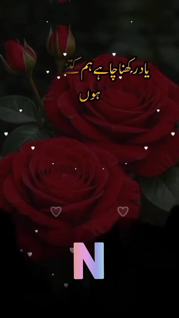 @Princesses1911