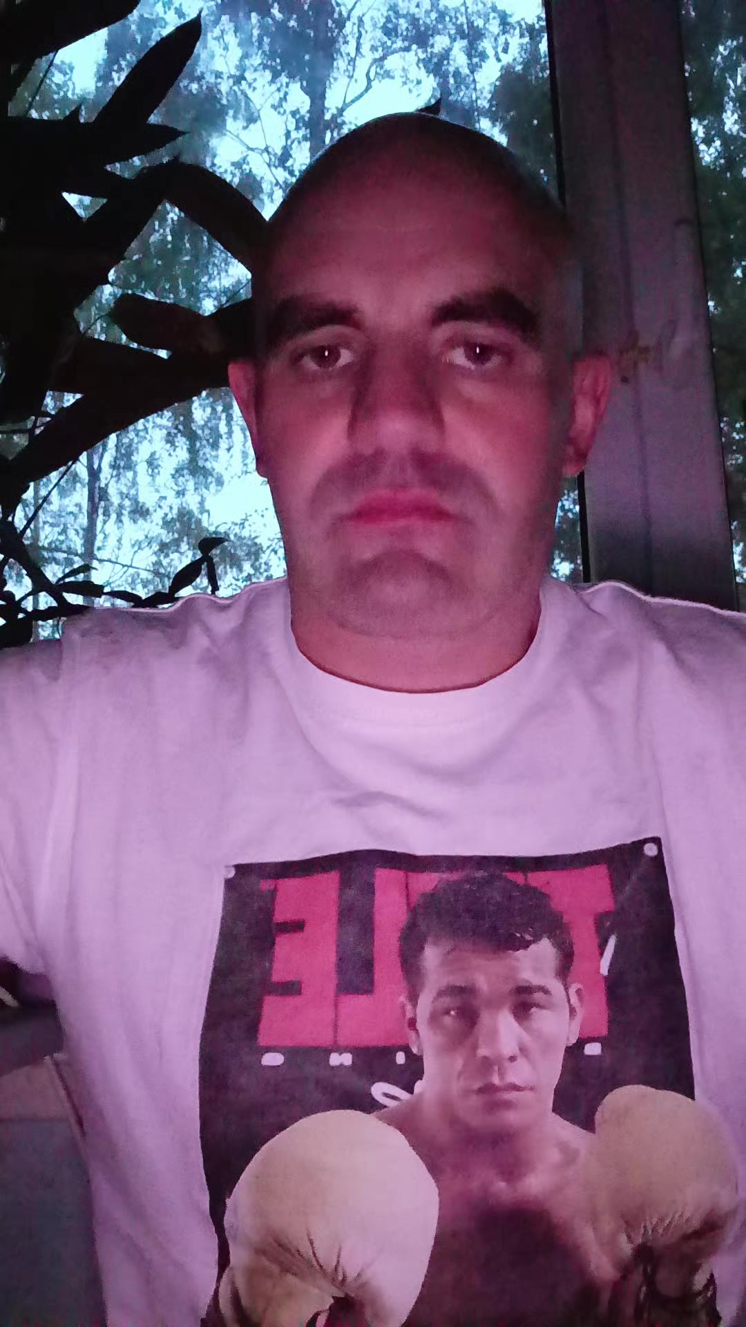 @artakkulak