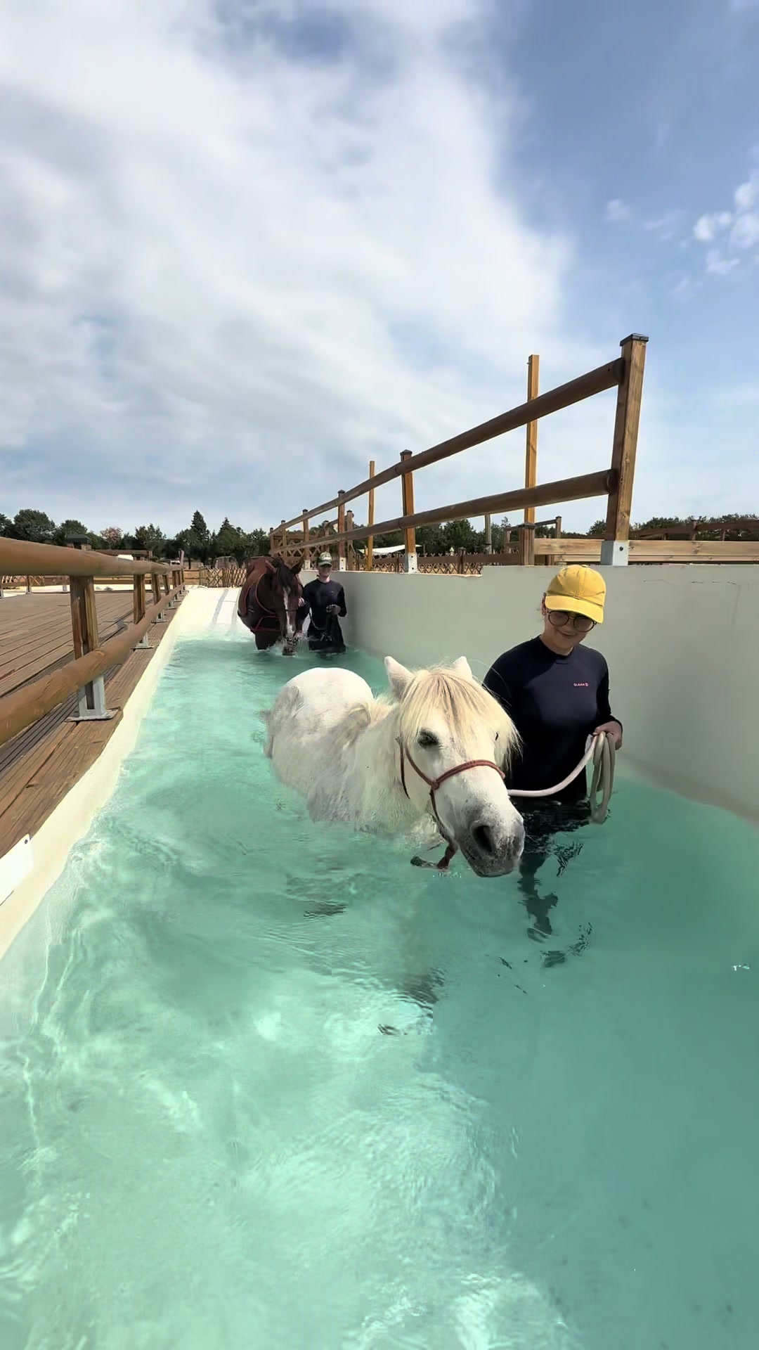 @Centre BienEtre Equin & Canin