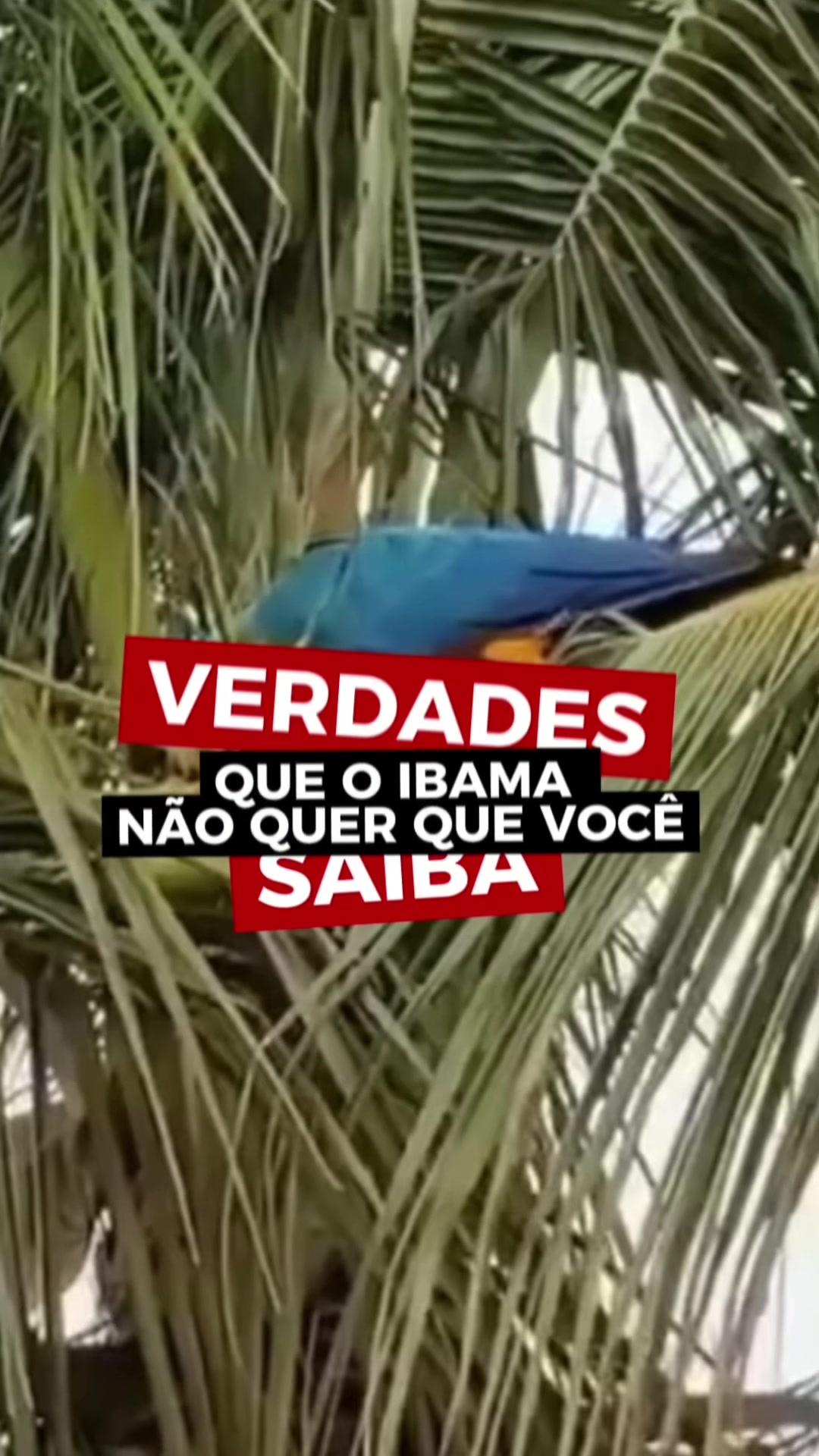 @Elisabete Silva