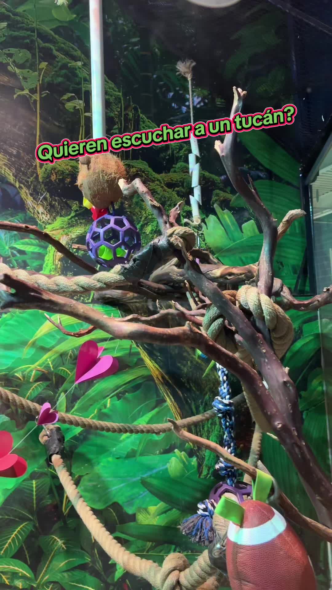 @Omarprz