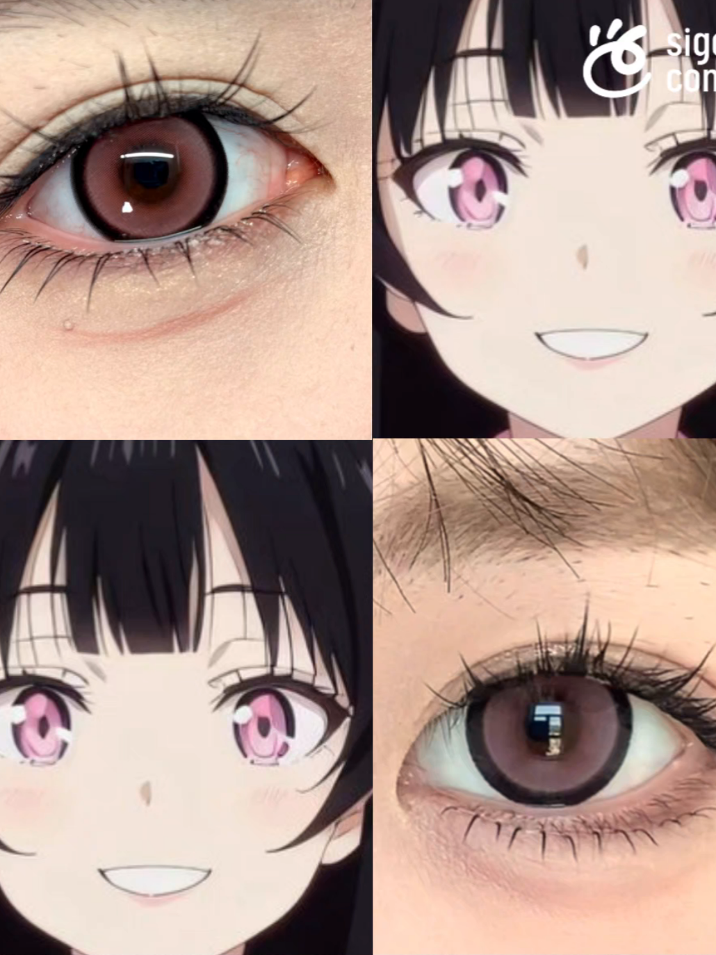 @sigocontacts_official