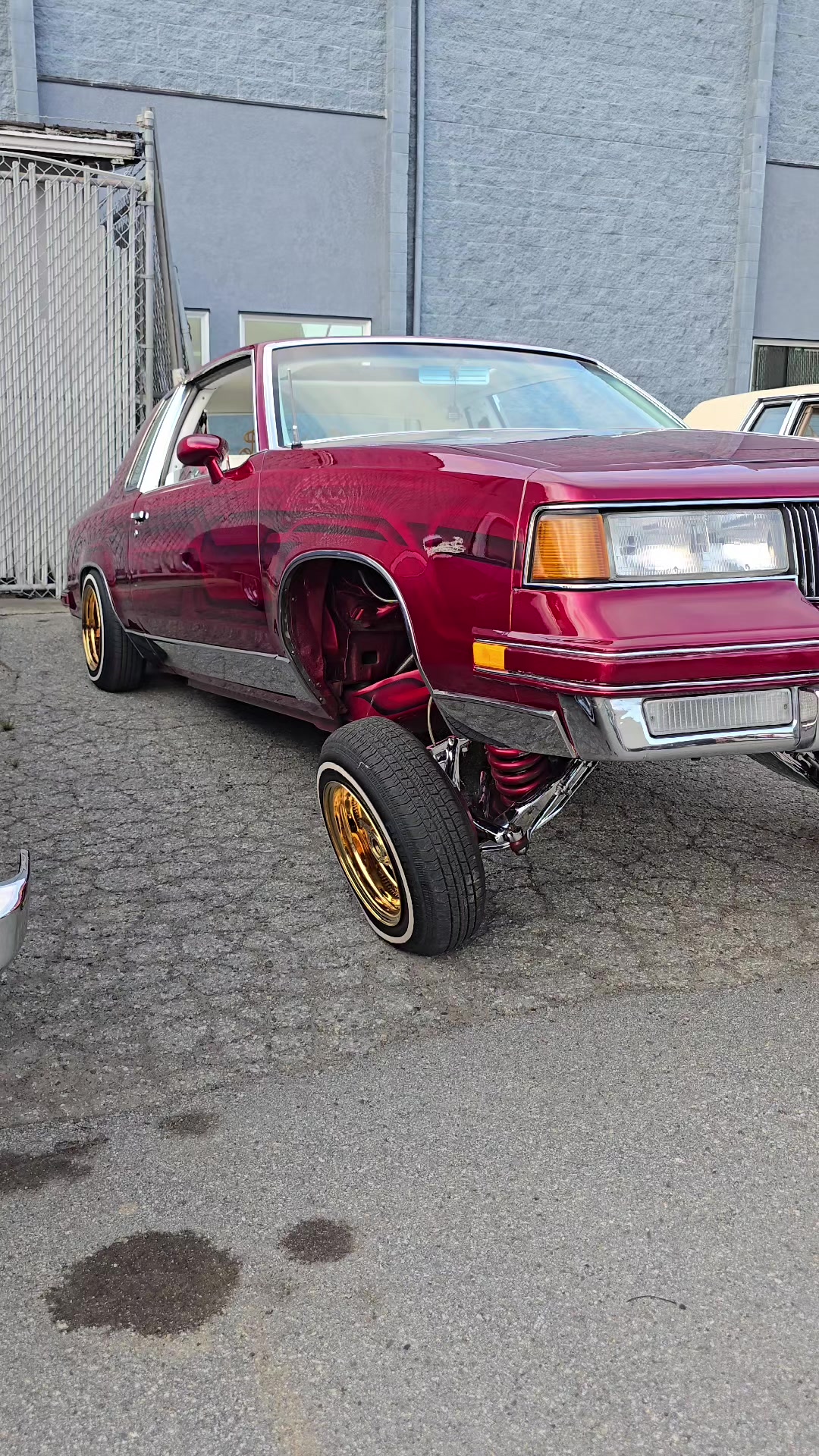 @miss81cutlass