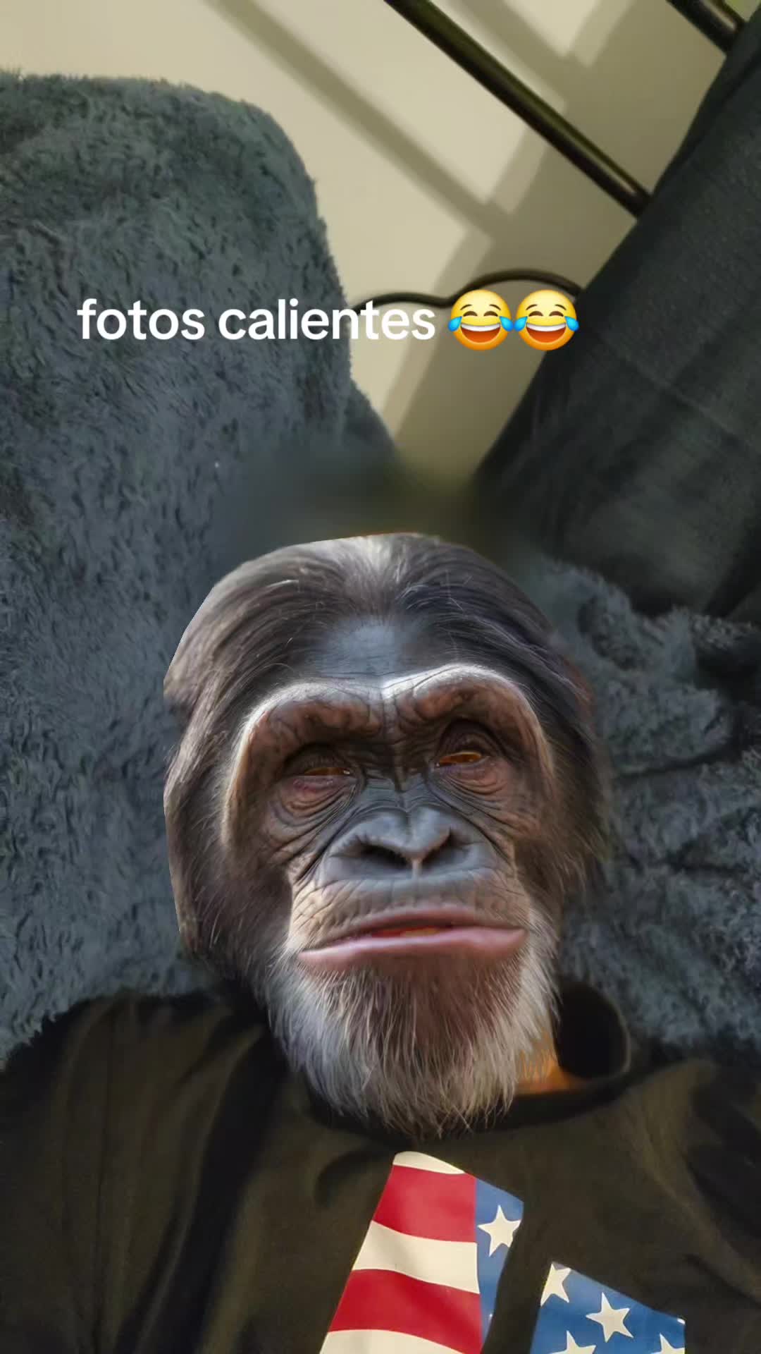 @el  tigre aleman7850