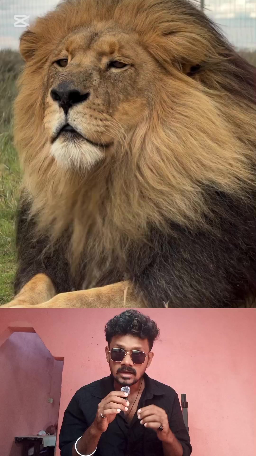 @MrFaj