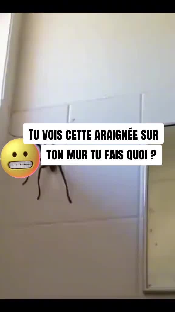 @LOOWW62