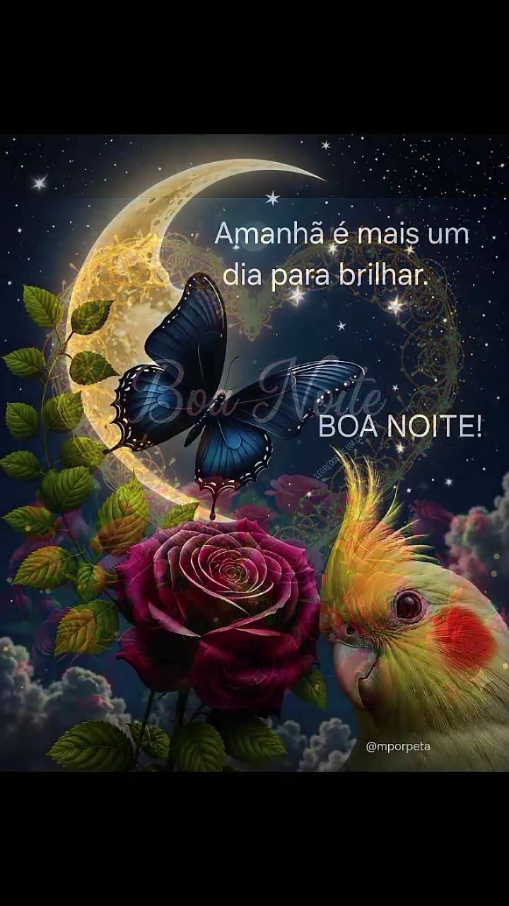 @joaodesa150🇵🇹🇲🇫
