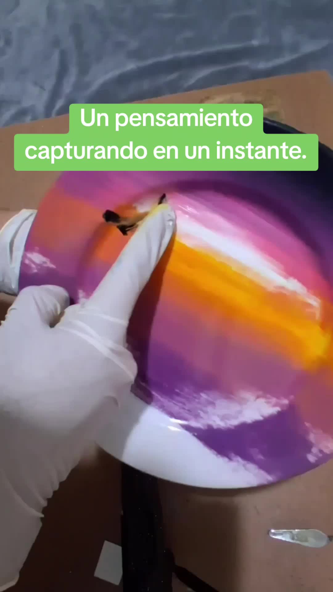 @Dragón