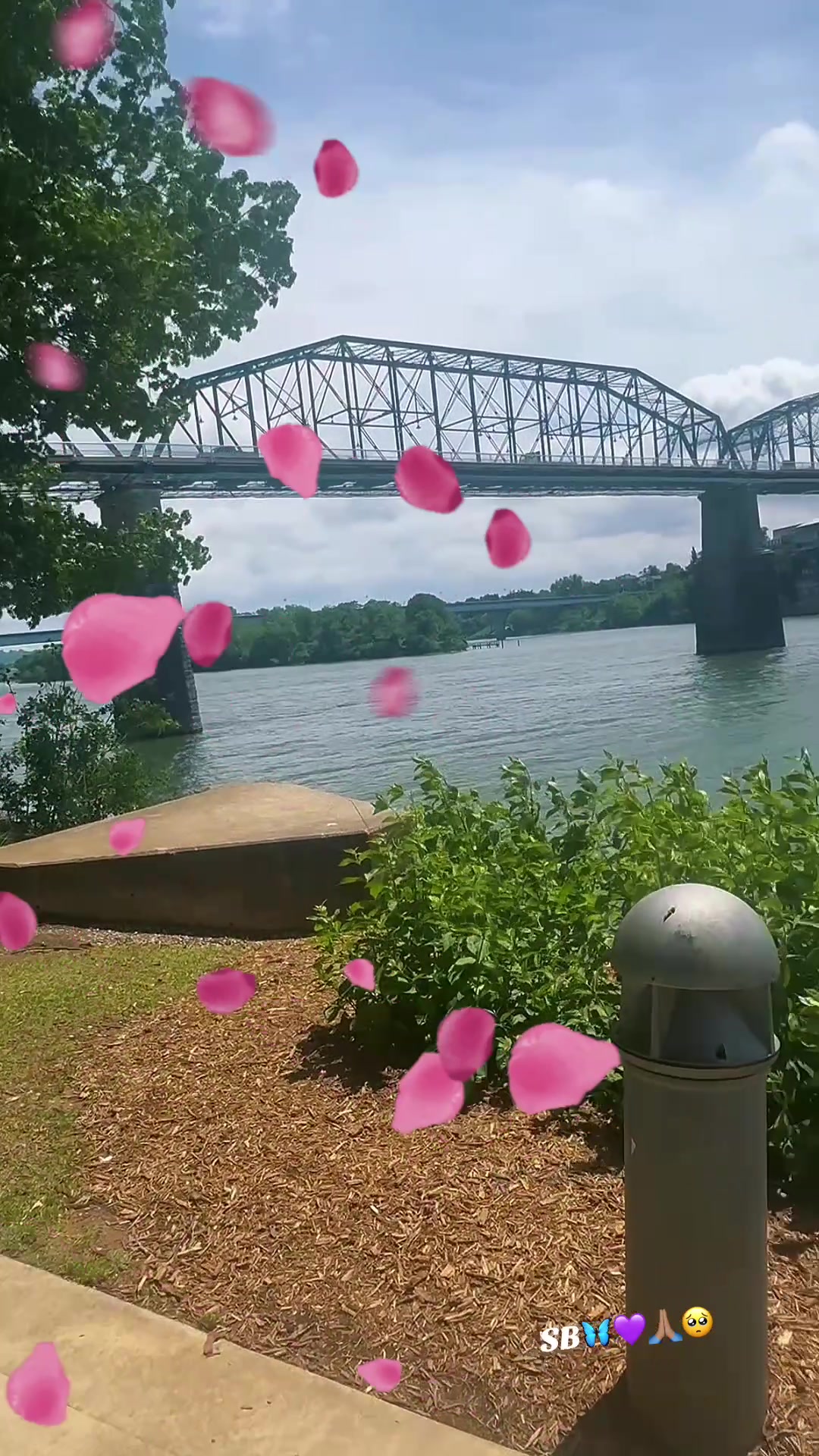 @Tity Bowen 🦋💜