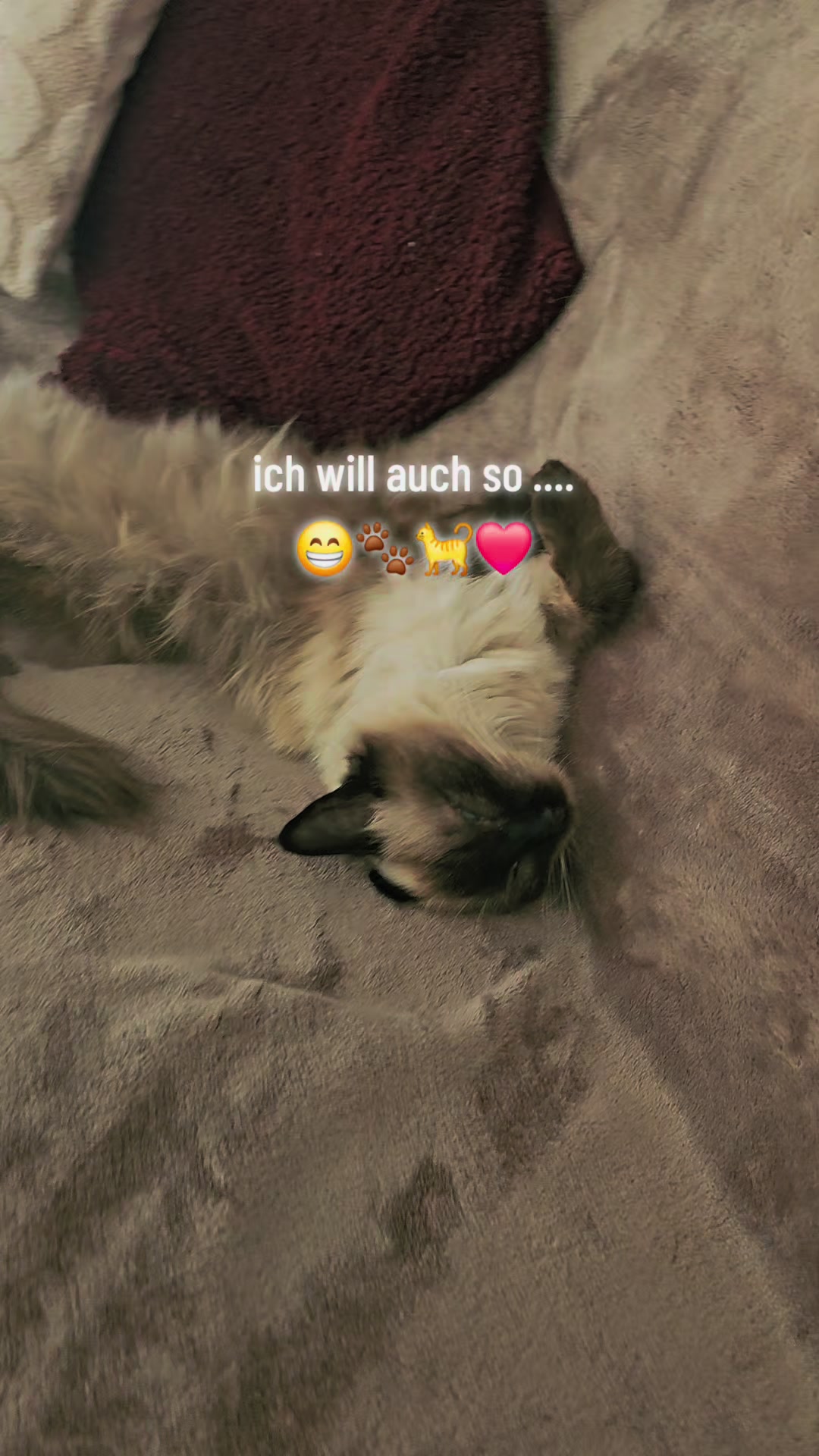 @Natalie 💞