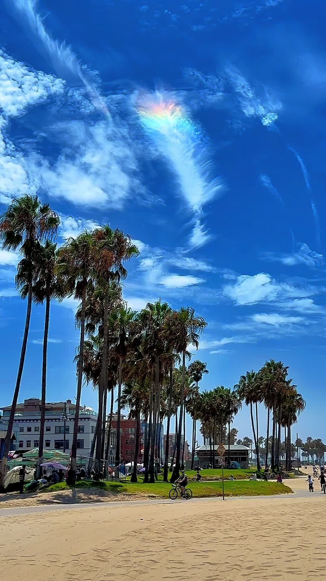 @Venice Beach Boardwalk