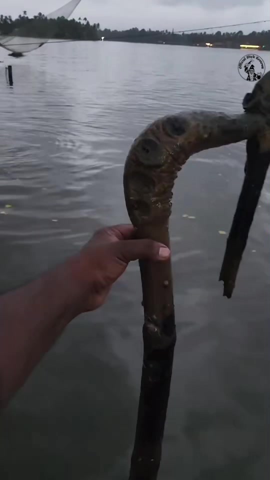 @Official Stick Reviews