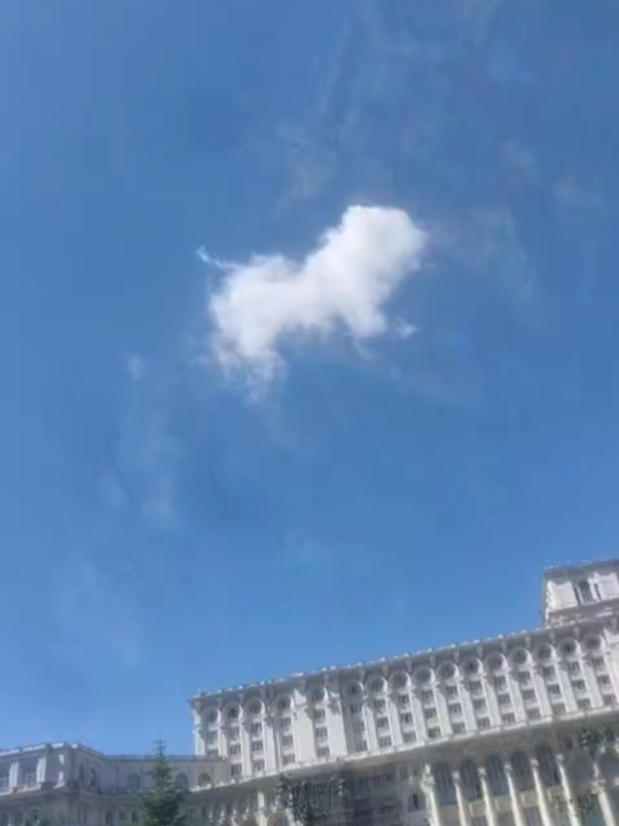 @MăduzzaCG🇷🇴🕊