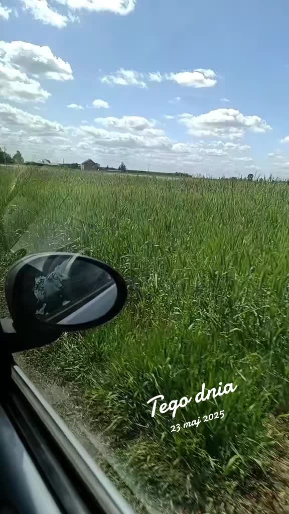 @✨😊🙂 Szurnięty Dawidek😊🙂✨