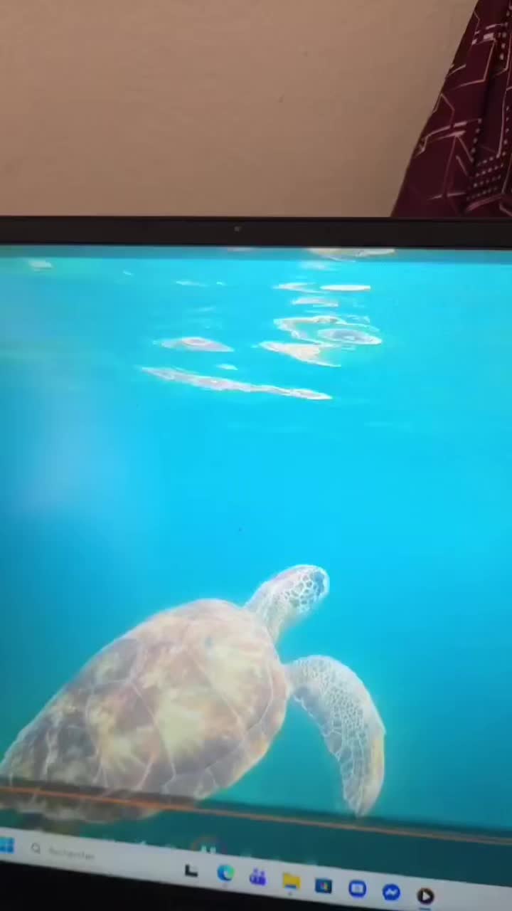 @cynthia 🏝️