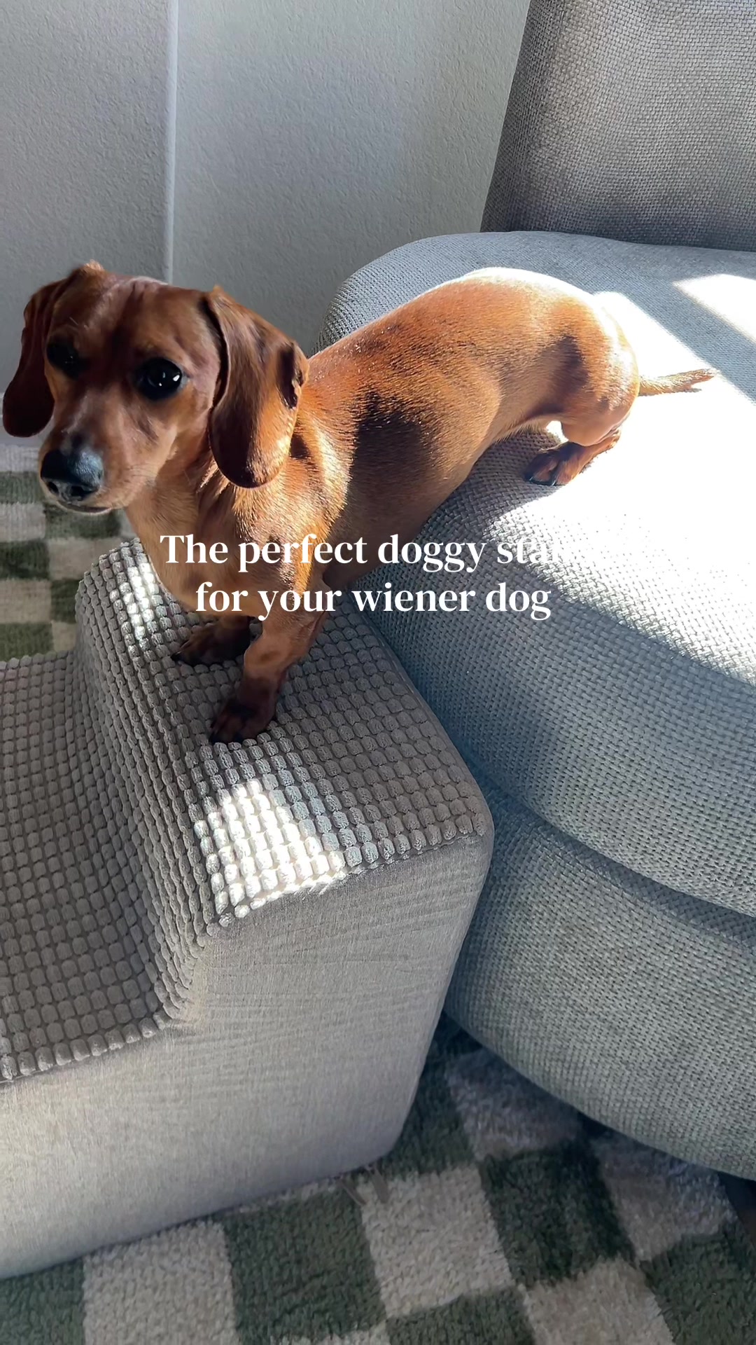 @Slinky Severus-Doo