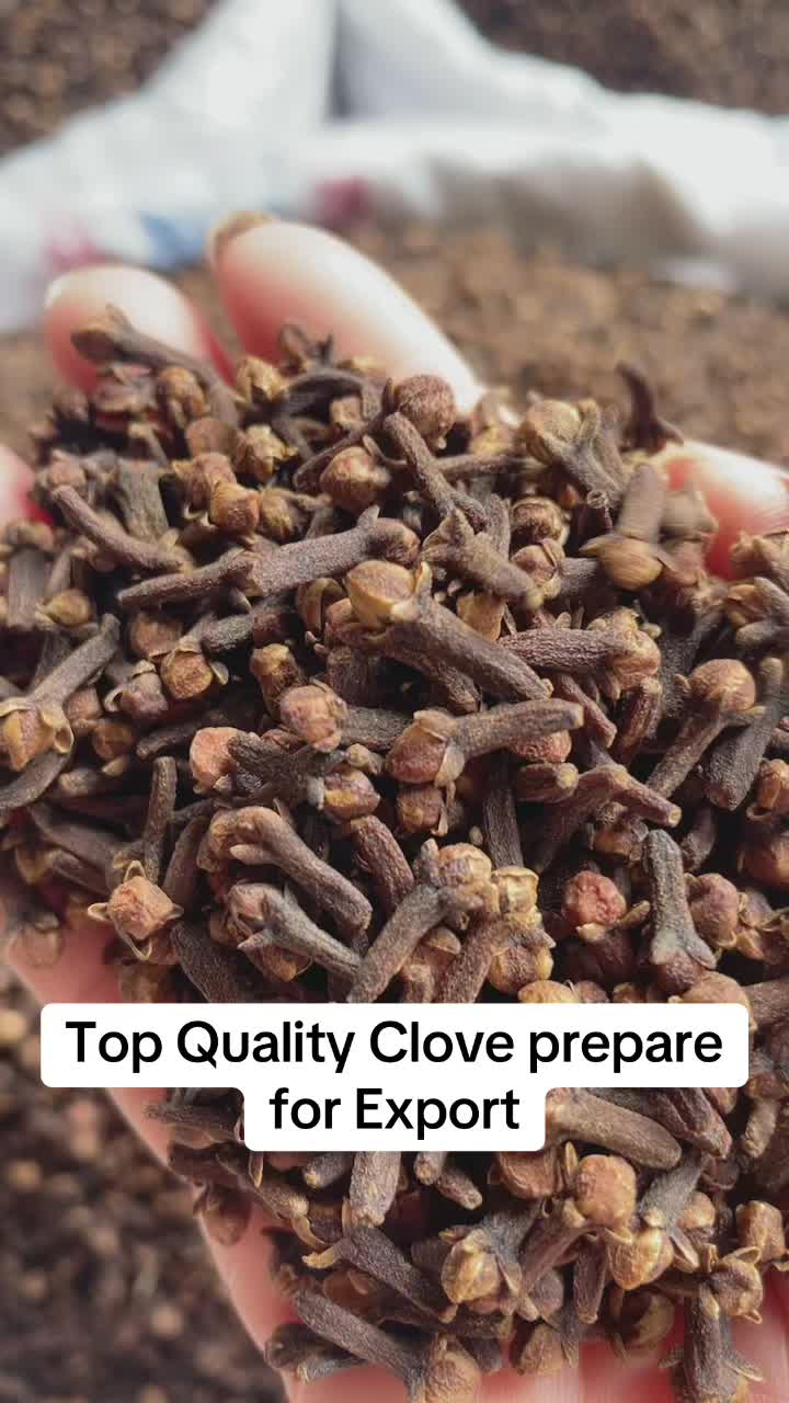 @Bxhspices(ChinaSpicesSupplier)
