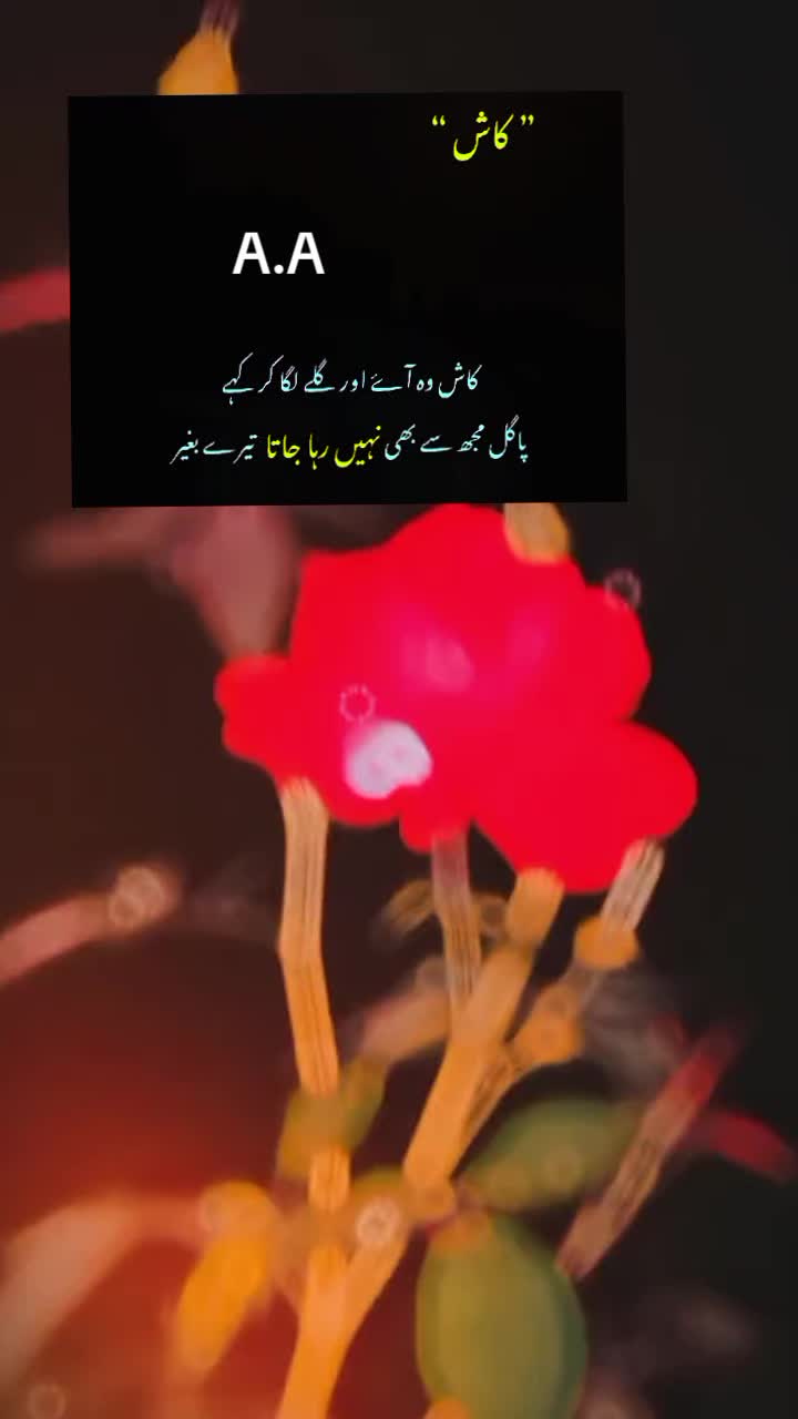 @❤️&zwj;🩹🥀 A🥀❤️&zwj;🩹