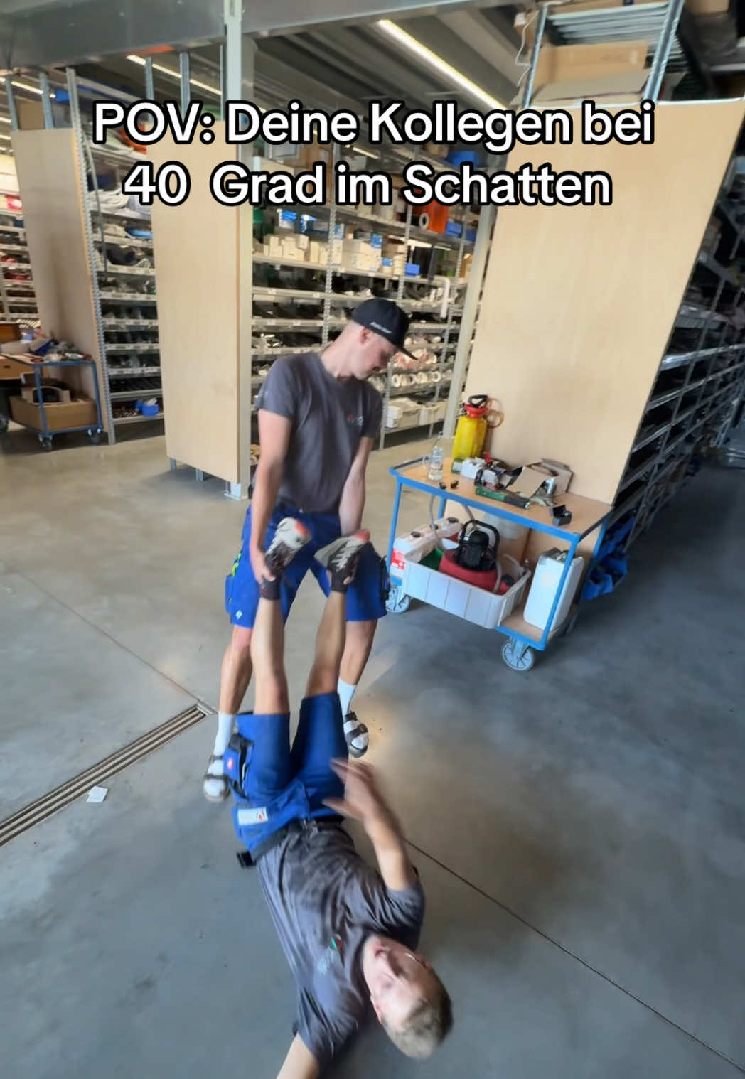 @Vögel Energie Bad Wärme