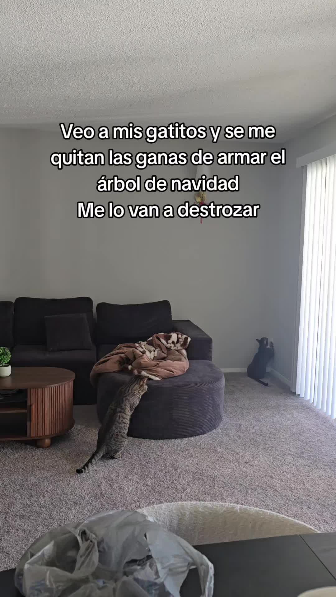@Jose Roberto