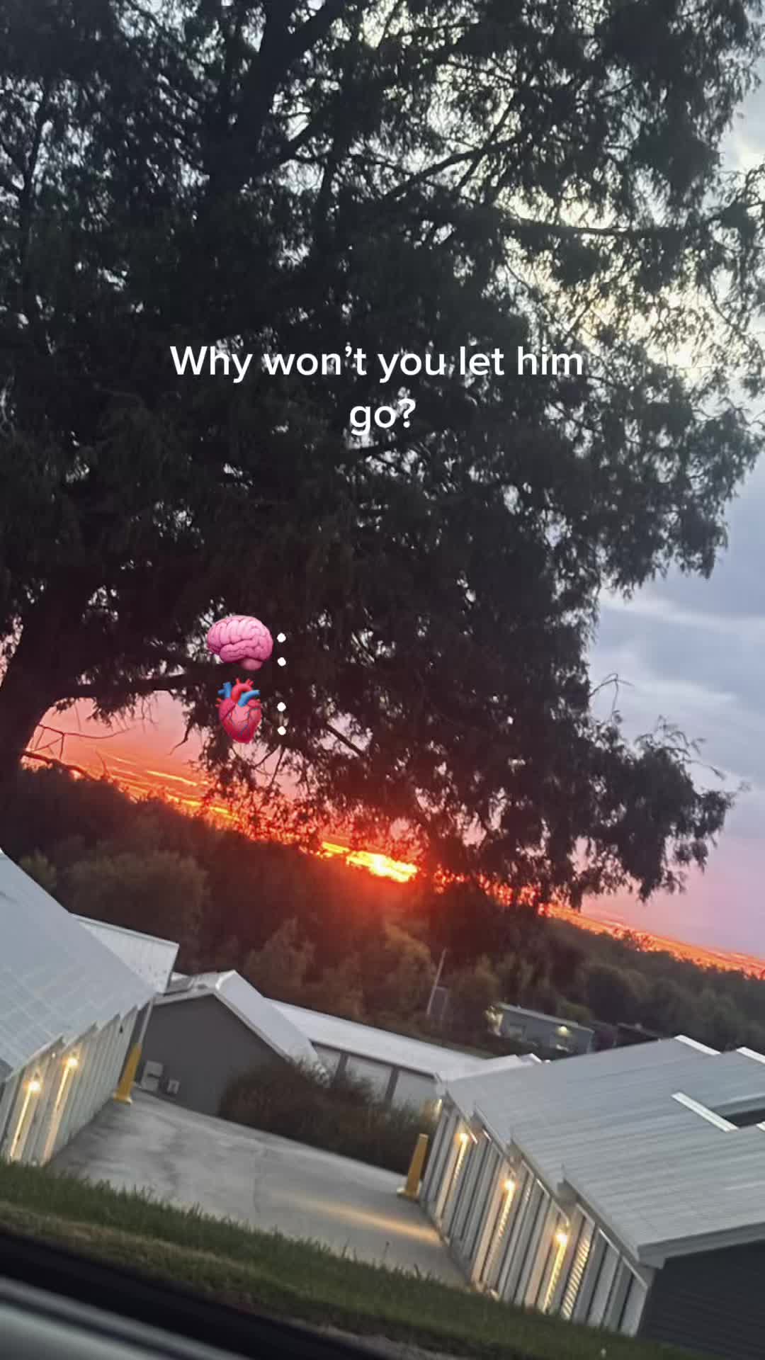 @kanesmama2025