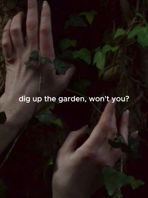 @aurora