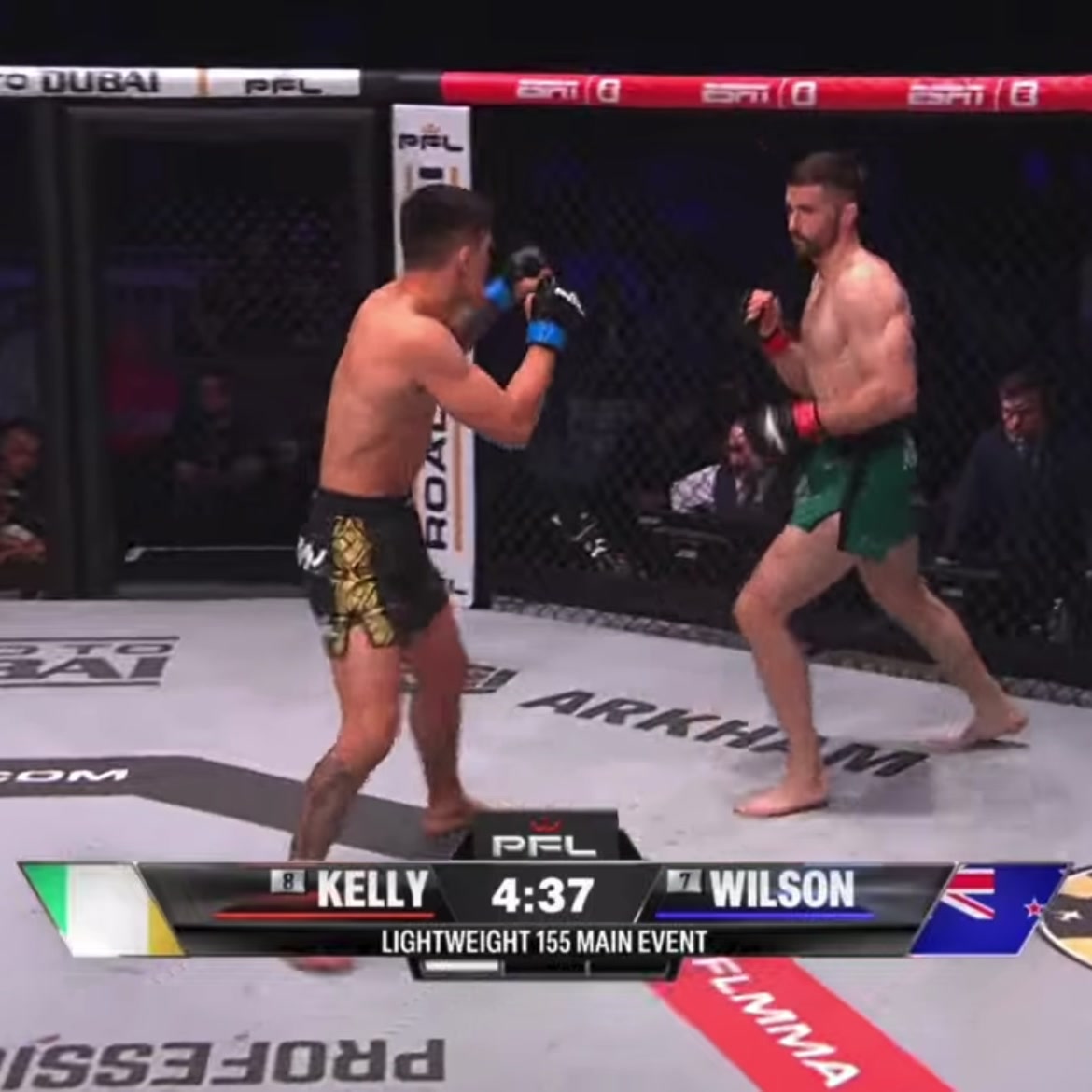 @Fight Zone / Зона боя