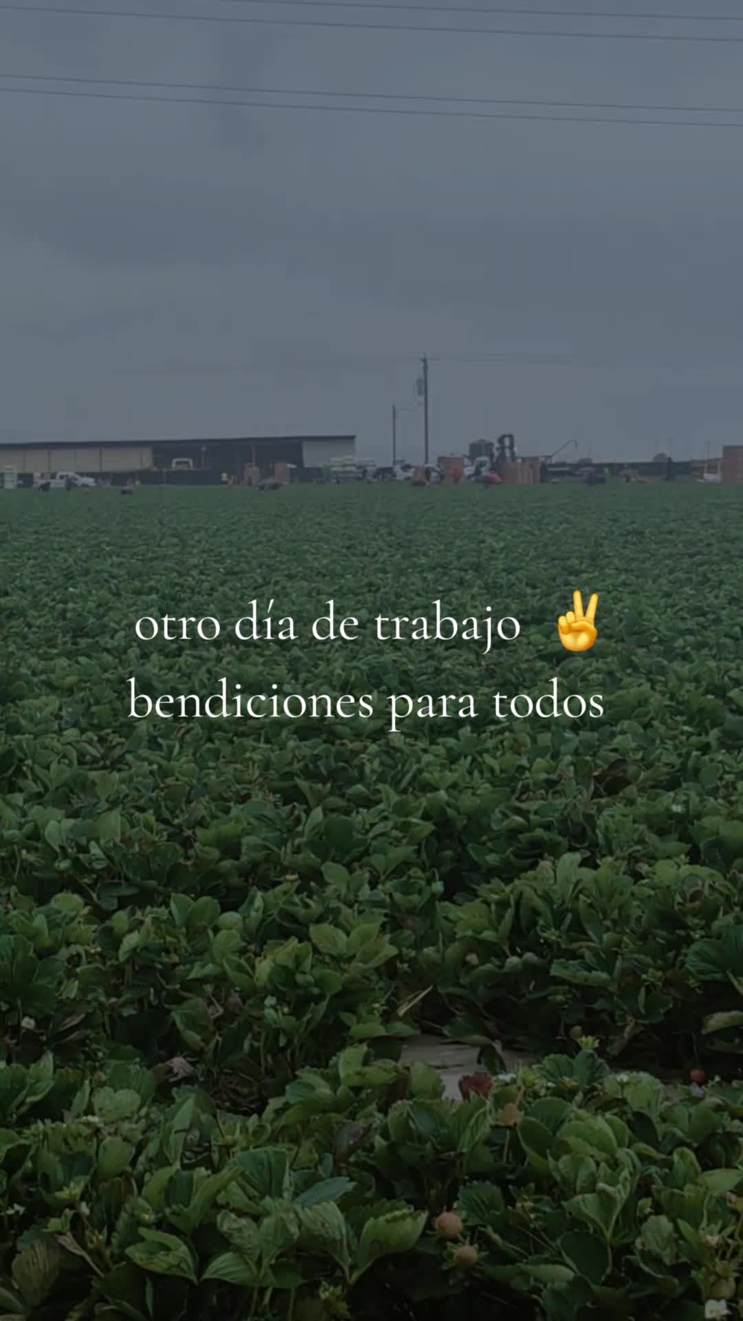 @💙🖤🍀🦋Camarillo Ad🍀💙🖤