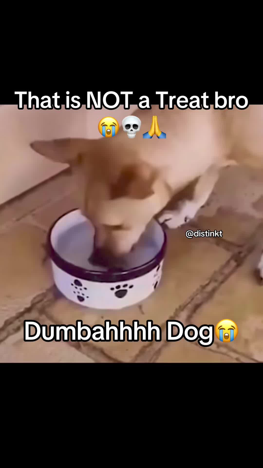 @Distinkt