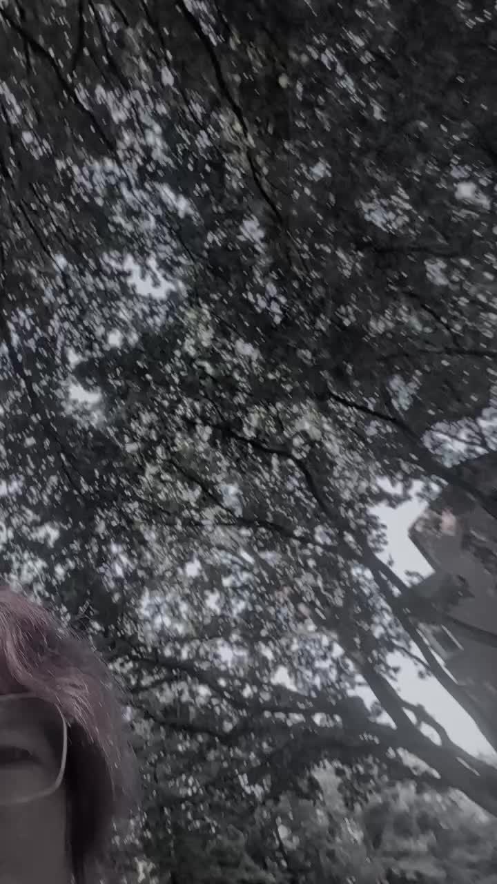 @Berlinergirl👑🔥
