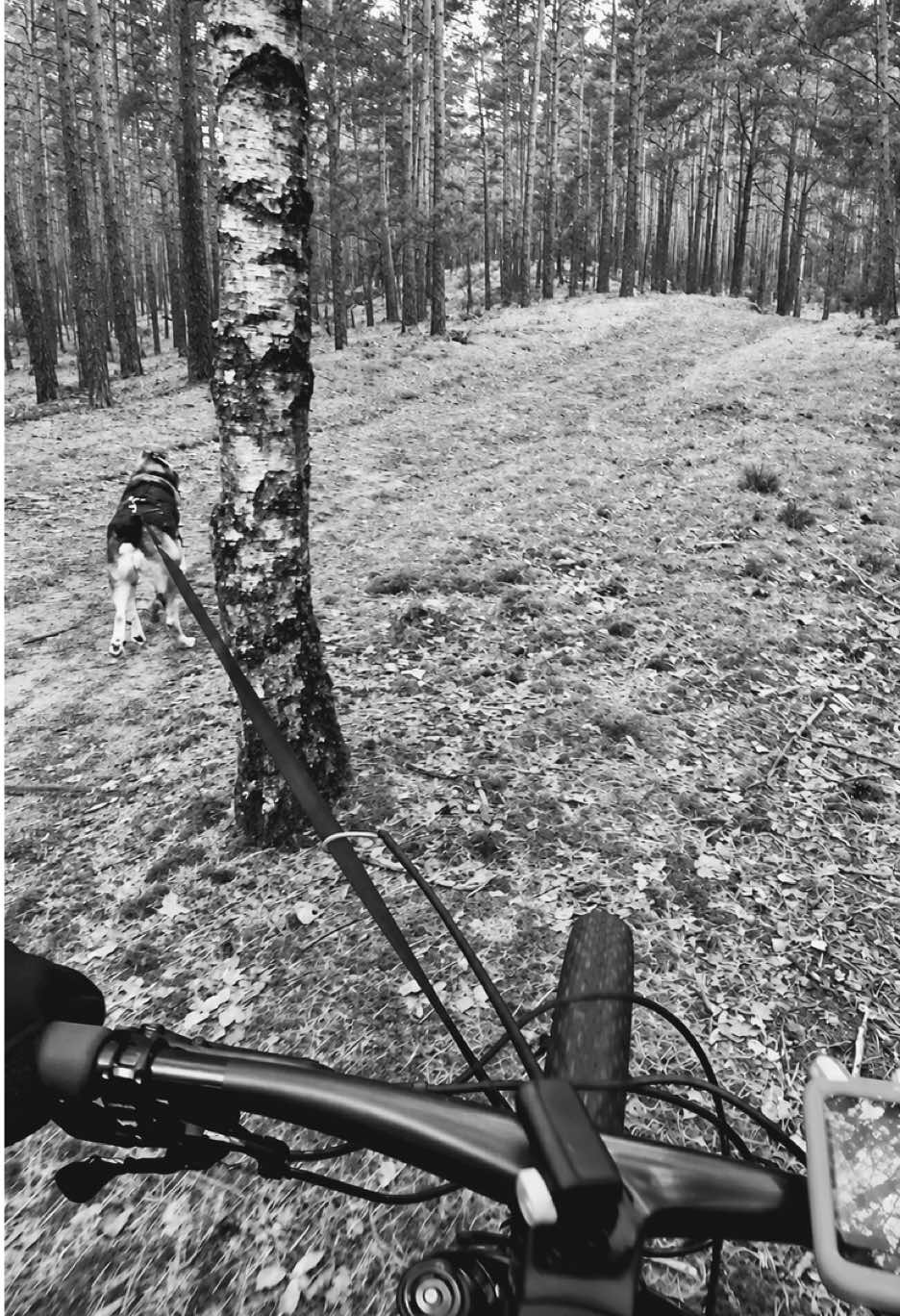 @Agnieszka Ignaszak bikejoring
