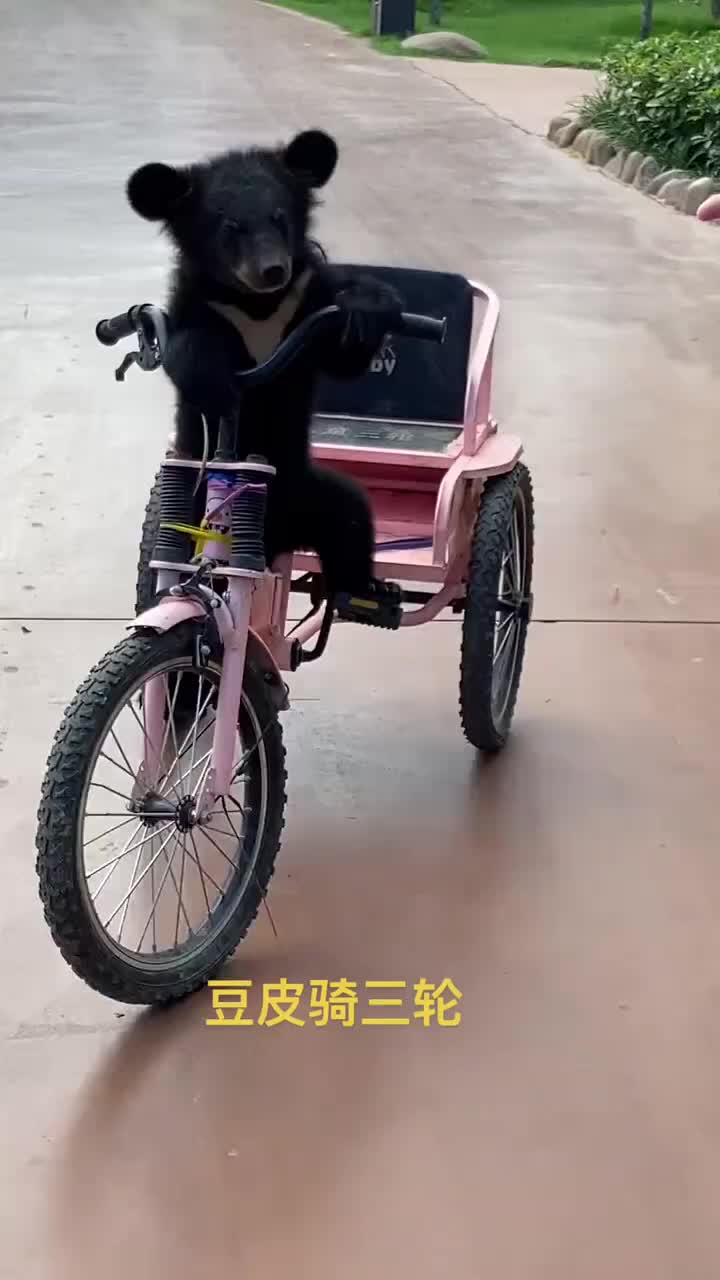 @👀