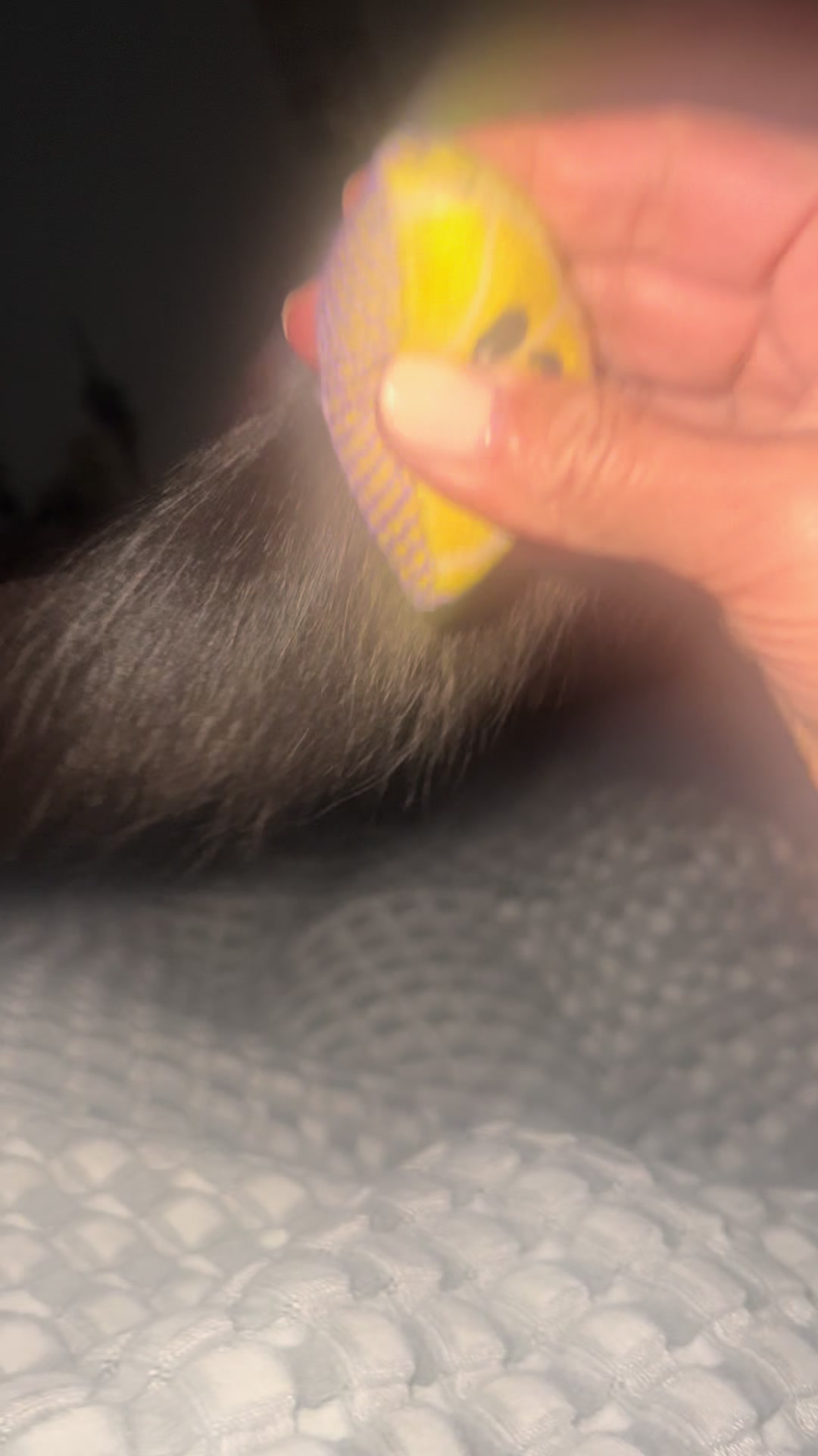 @Noneofyourbiz
