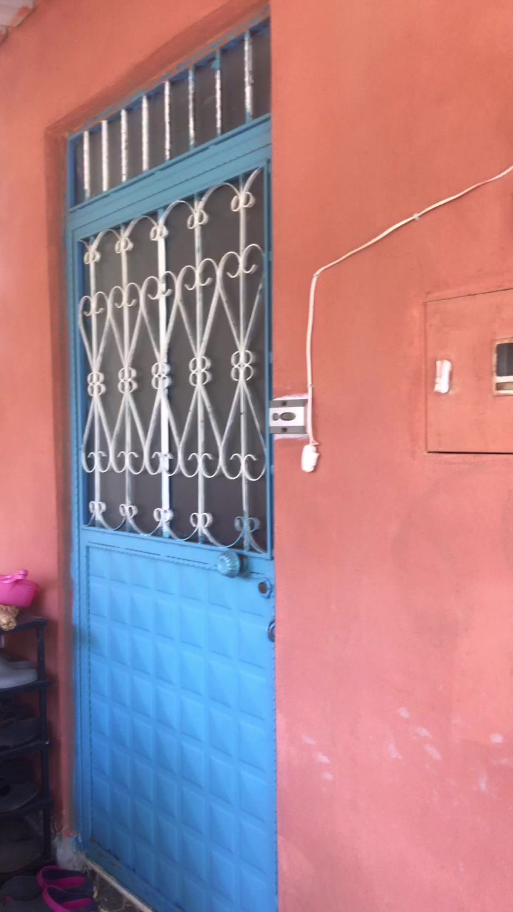 @Ayşegül Bozkurt