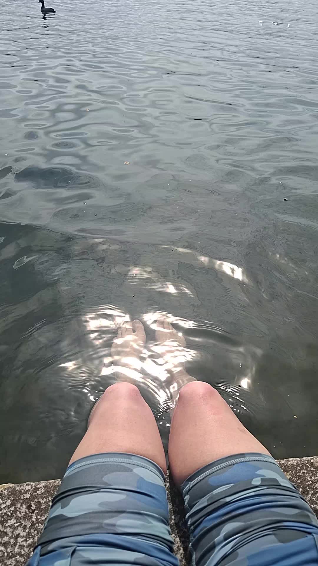 @𝓛𝓲𝓮𝓼𝓼𝓬𝓱𝓮𝓷