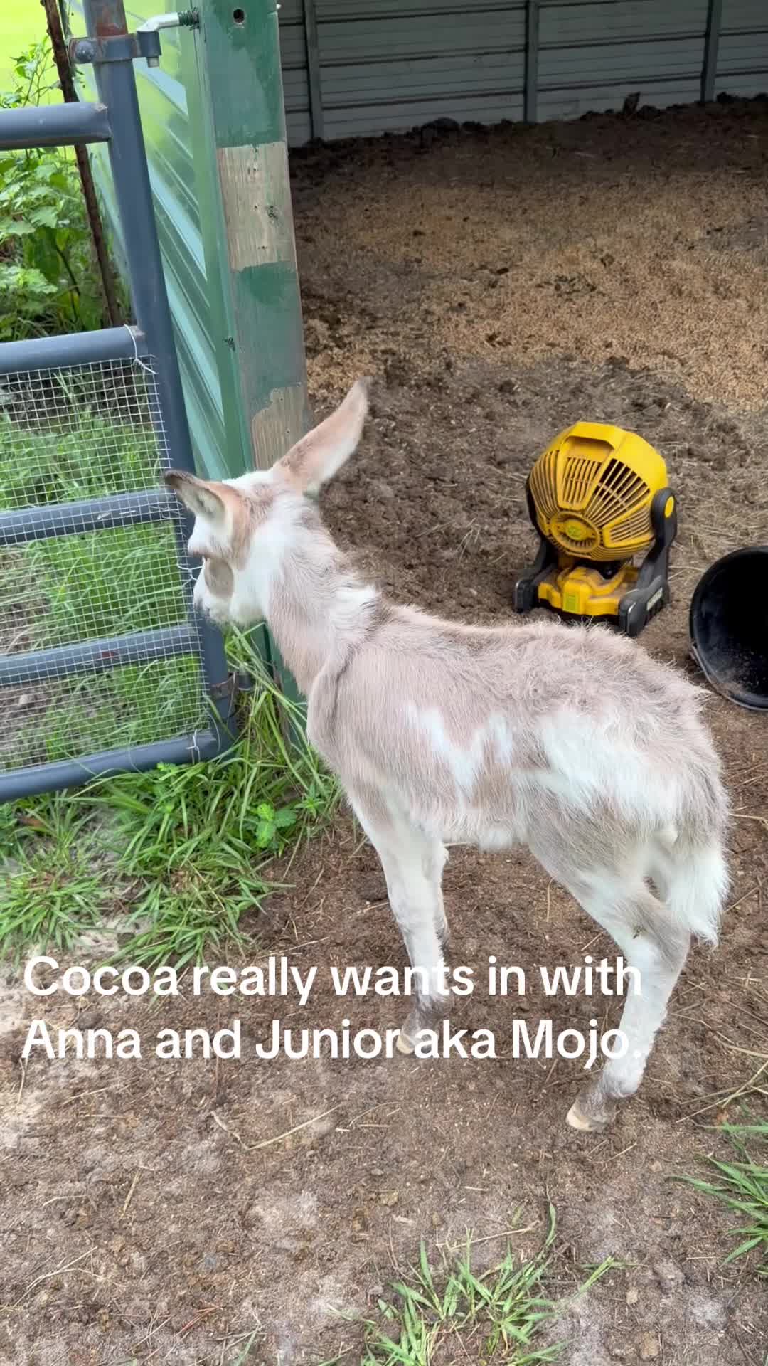 @Kelley Farms