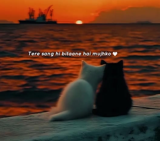 @Nawri malli 