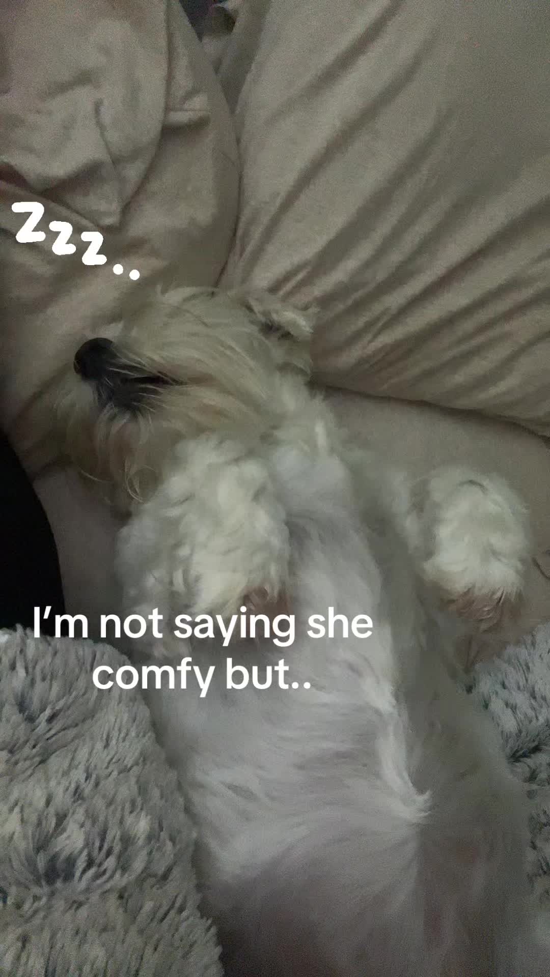 @Mitzie