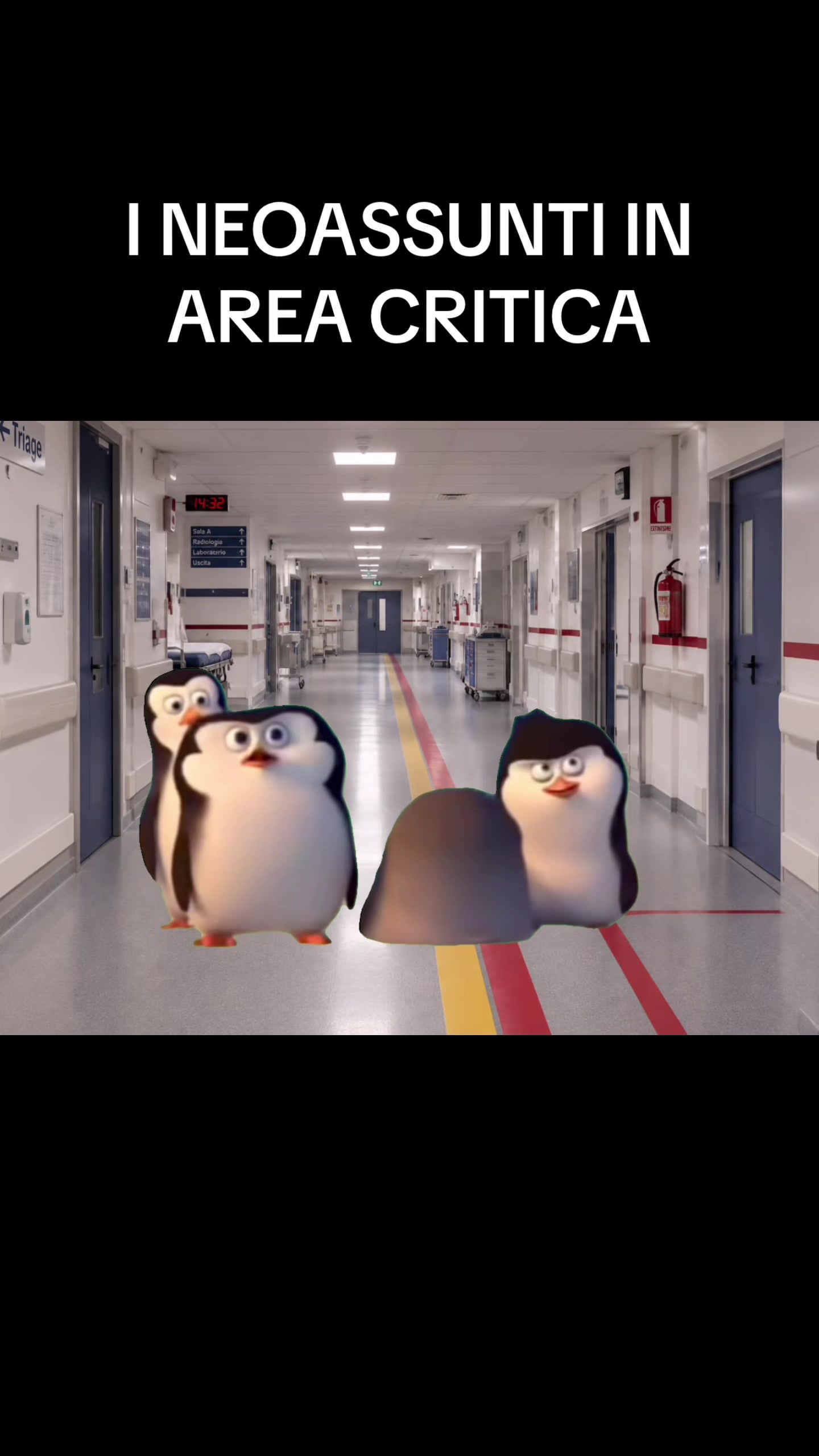 @Icumeme