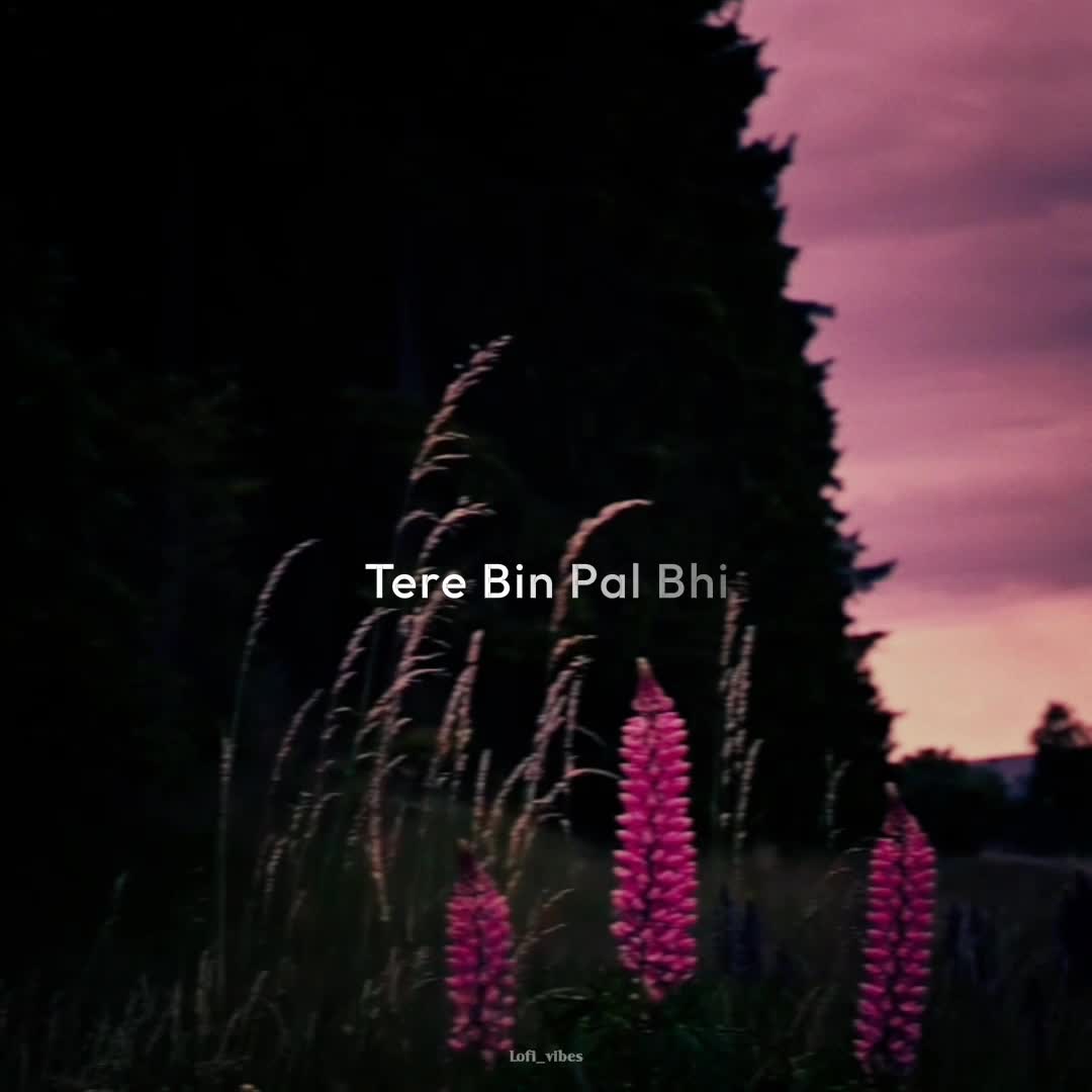 @lofi_Vibes