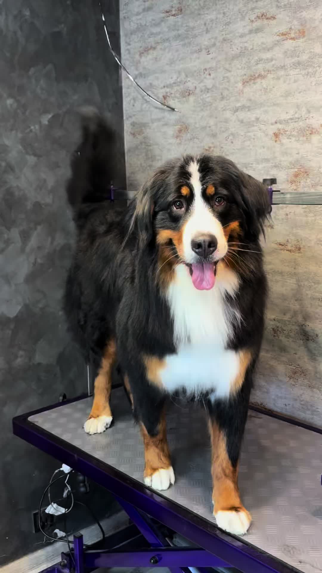 @iwanxoczko