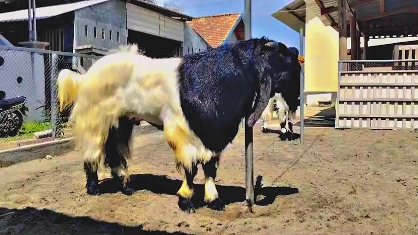 @CC Farm
