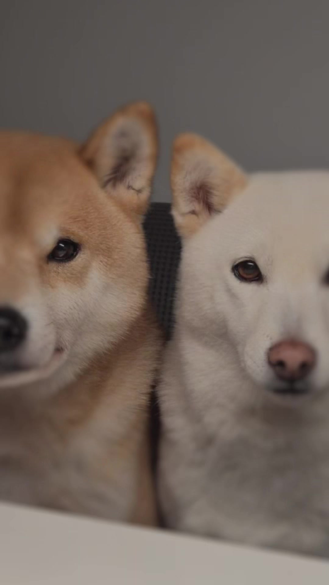 @Akihiro & Yuki